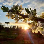 Podere La Vigna Locazione Turistica Country house