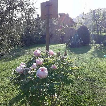 Podere La Vigna Locazione Turistica