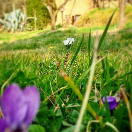 Podere La Vigna Locazione Turistica