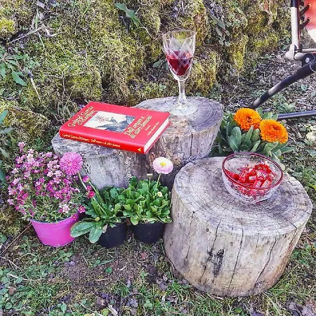 乡村民宿 Podere La Vigna Locazione Turistica
