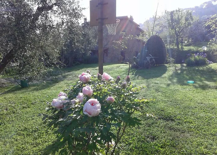 Podere La Vigna Locazione Turistica